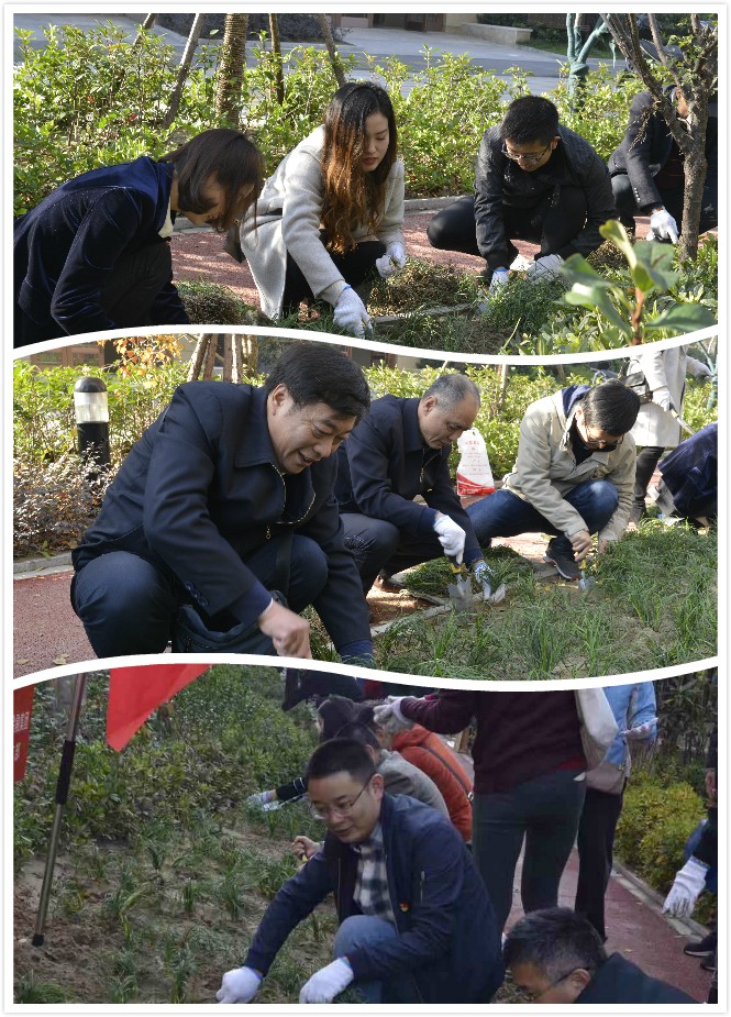 1574044573192813.jpg 1.jpg